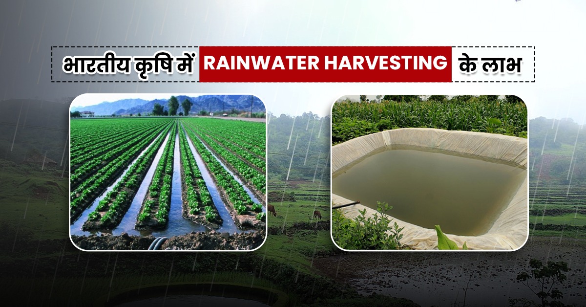 Rainwater Harvesting: वर्षा जल संचयन कैसे करें और इसके क्या लाभ हैं