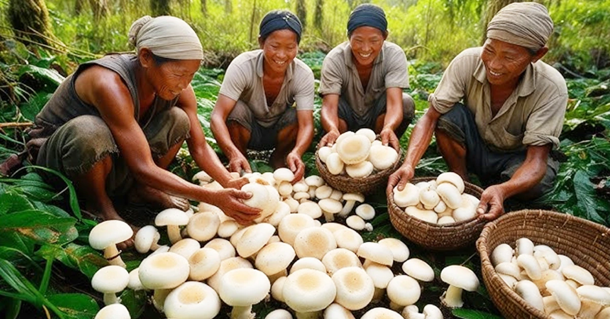 कम लागत में मशरूम की खेती से कैसे कमाएं लाखों का मुनाफा | Mushroom Farming